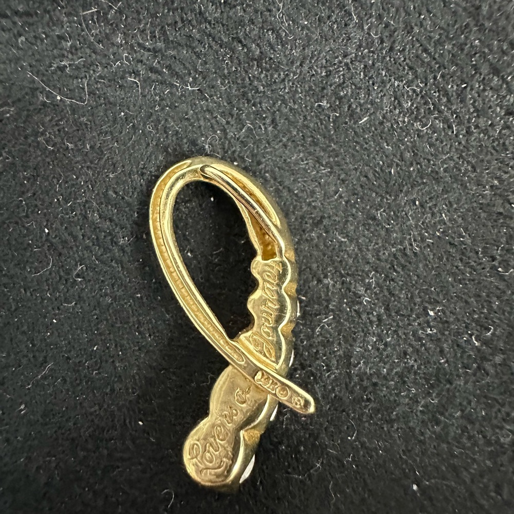 Leo Journey Pendant Slide - Picture 2 of 2